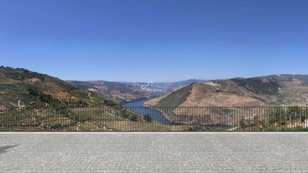 Terreno para Venda em Valença do Douro Foto 6