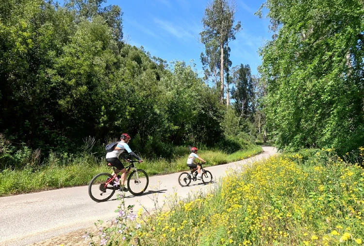 Apartamento T3 para Venda em Nazare Foto 15