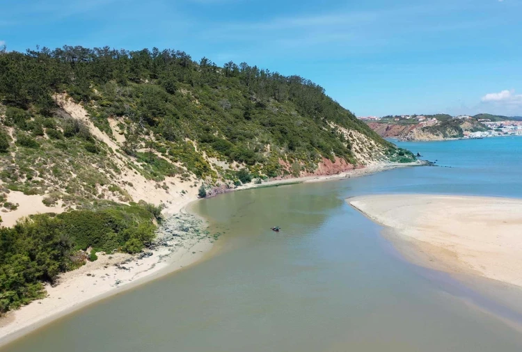 Moradia T3 para Venda em Tornada e Salir do Porto Foto 7