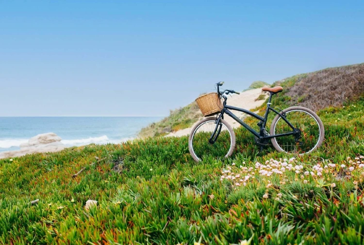 Moradia T3 para Venda em Tornada e Salir do Porto Foto 12