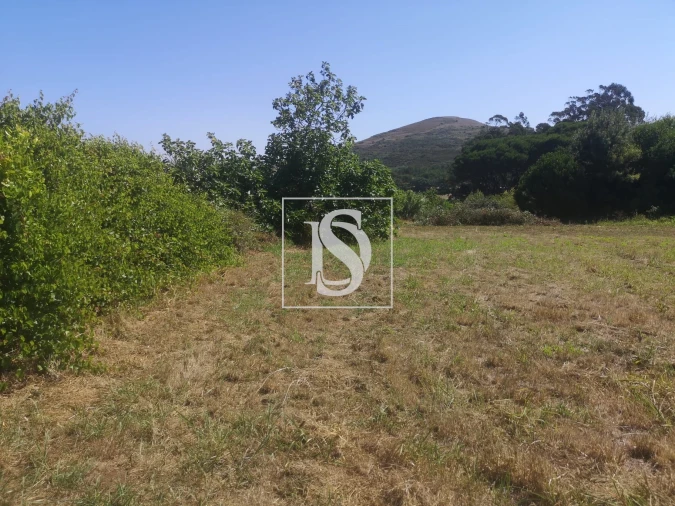 Terreno para Venda em Malveira e São Miguel de Alcainça Foto 4