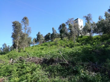 Terreno para Venda em Custóias, Leça do Balio e Guifões