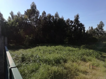 Terreno para Venda em Custóias, Leça do Balio e Guifões