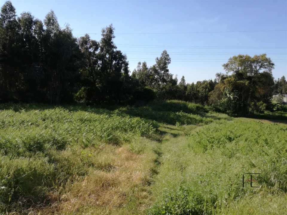 Terreno para Venda em Custóias, Leça do Balio e Guifões Foto 27