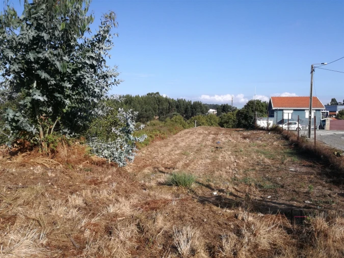 Terreno para Venda em Custóias, Leça do Balio e Guifões Foto 21