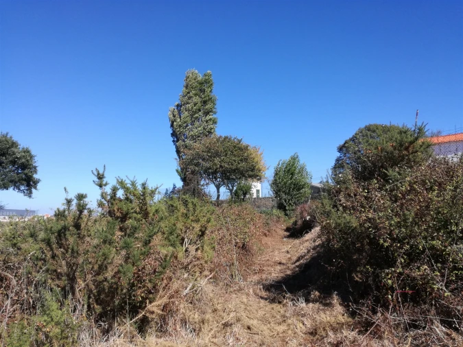 Terreno para Venda em Custóias, Leça do Balio e Guifões Foto 22