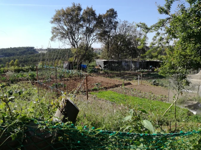 Terreno para Venda em Custóias, Leça do Balio e Guifões Foto 24