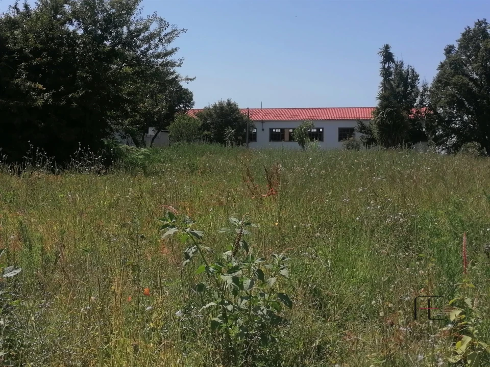 Terreno para Venda em Custóias, Leça do Balio e Guifões Foto 14