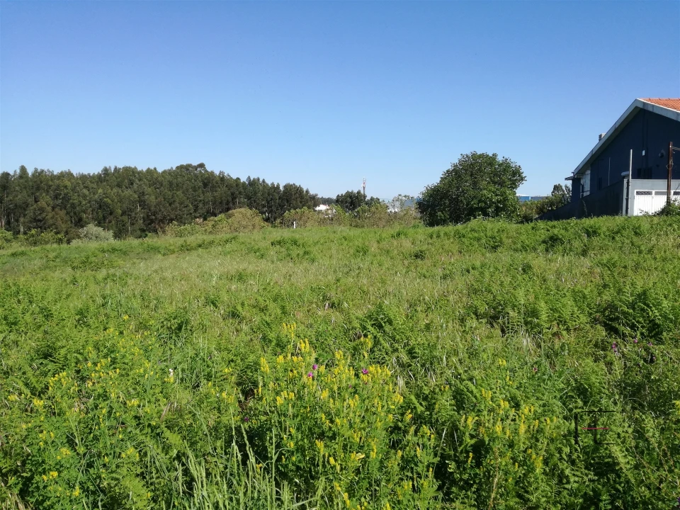 Terreno para Venda em Custóias, Leça do Balio e Guifões Foto 25