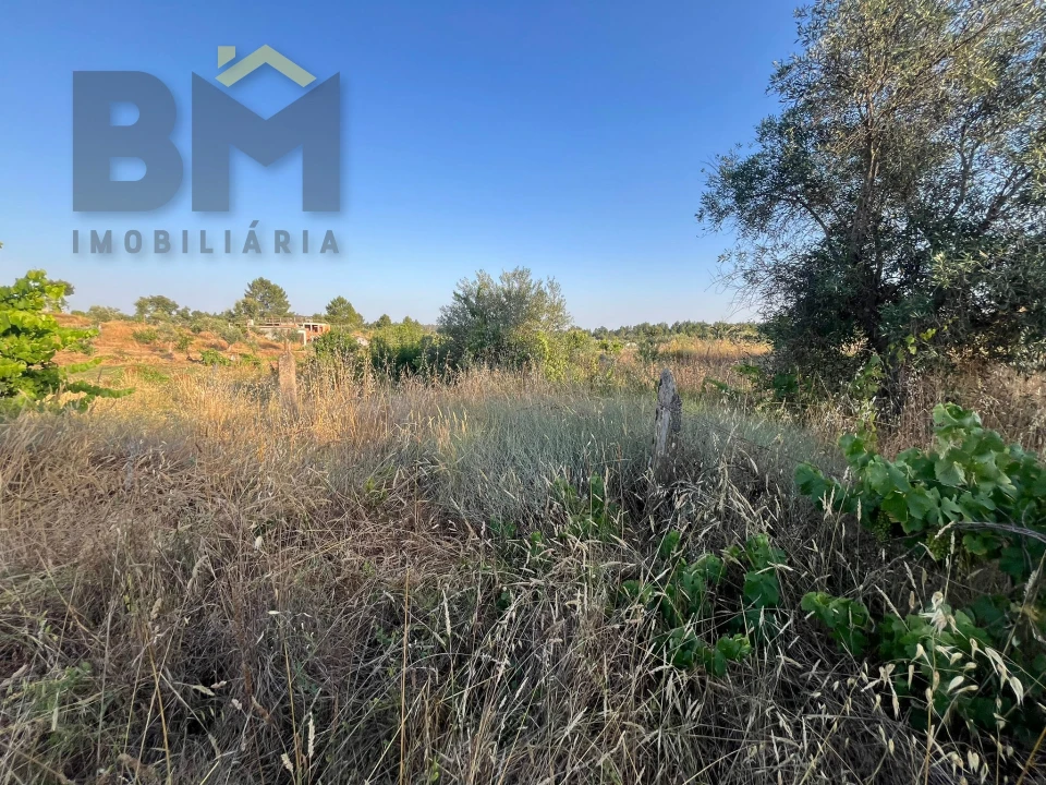 Terreno Agricola ou Rústico para Venda em Freixial e Juncal do Campo Foto 6