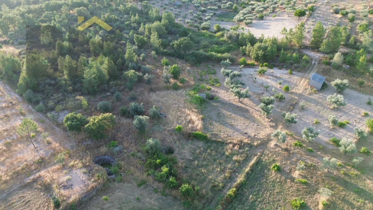 Terreno Agricola ou Rústico para Venda em Freixial e Juncal do Campo Foto 11