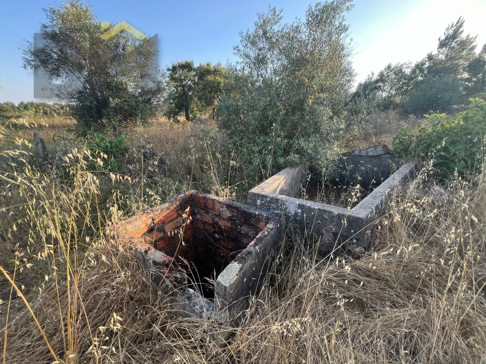 Terreno Agricola ou Rústico para Venda em Freixial e Juncal do Campo Foto 3