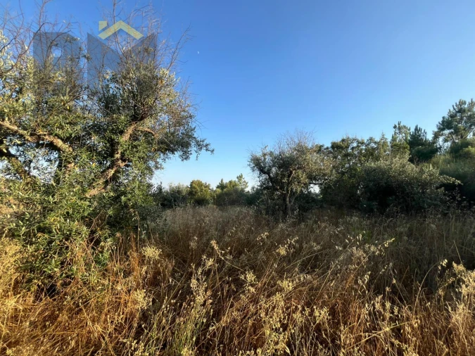 Terreno Agricola ou Rústico para Venda em Freixial e Juncal do Campo Foto 7