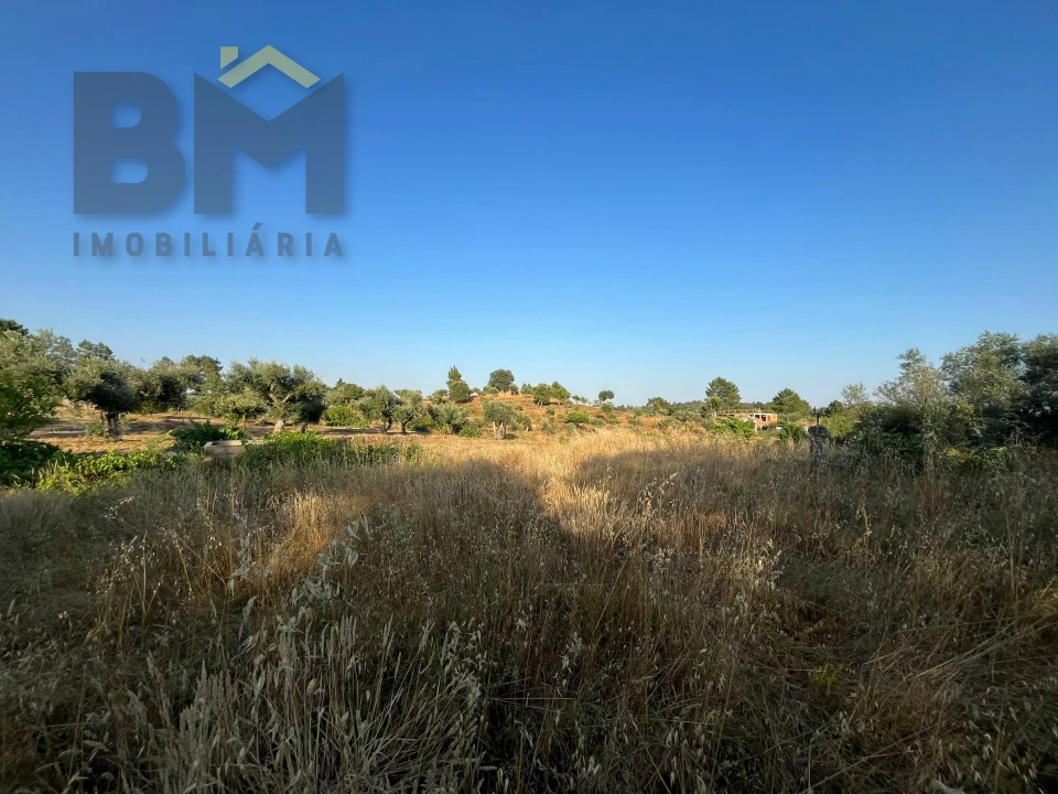 Terreno Agricola ou Rústico para Venda em Freixial e Juncal do Campo Foto 10