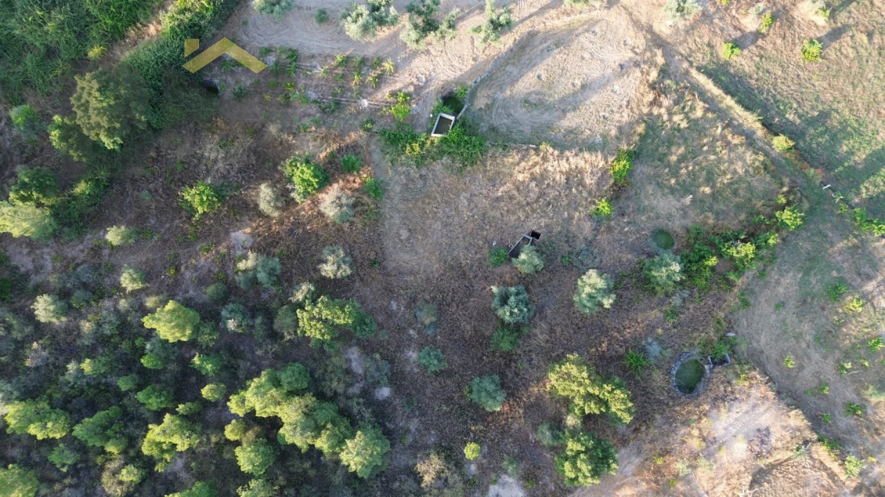 Terreno Agricola ou Rústico para Venda em Freixial e Juncal do Campo Foto 2