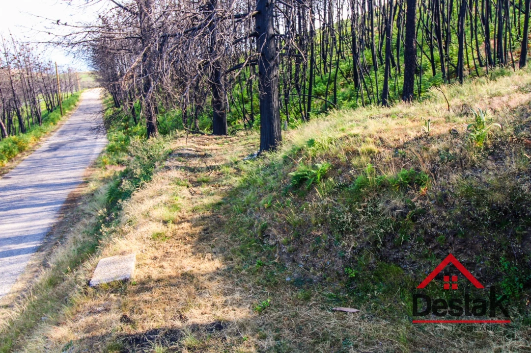 Moradia T1 para Venda em Sul Foto 19