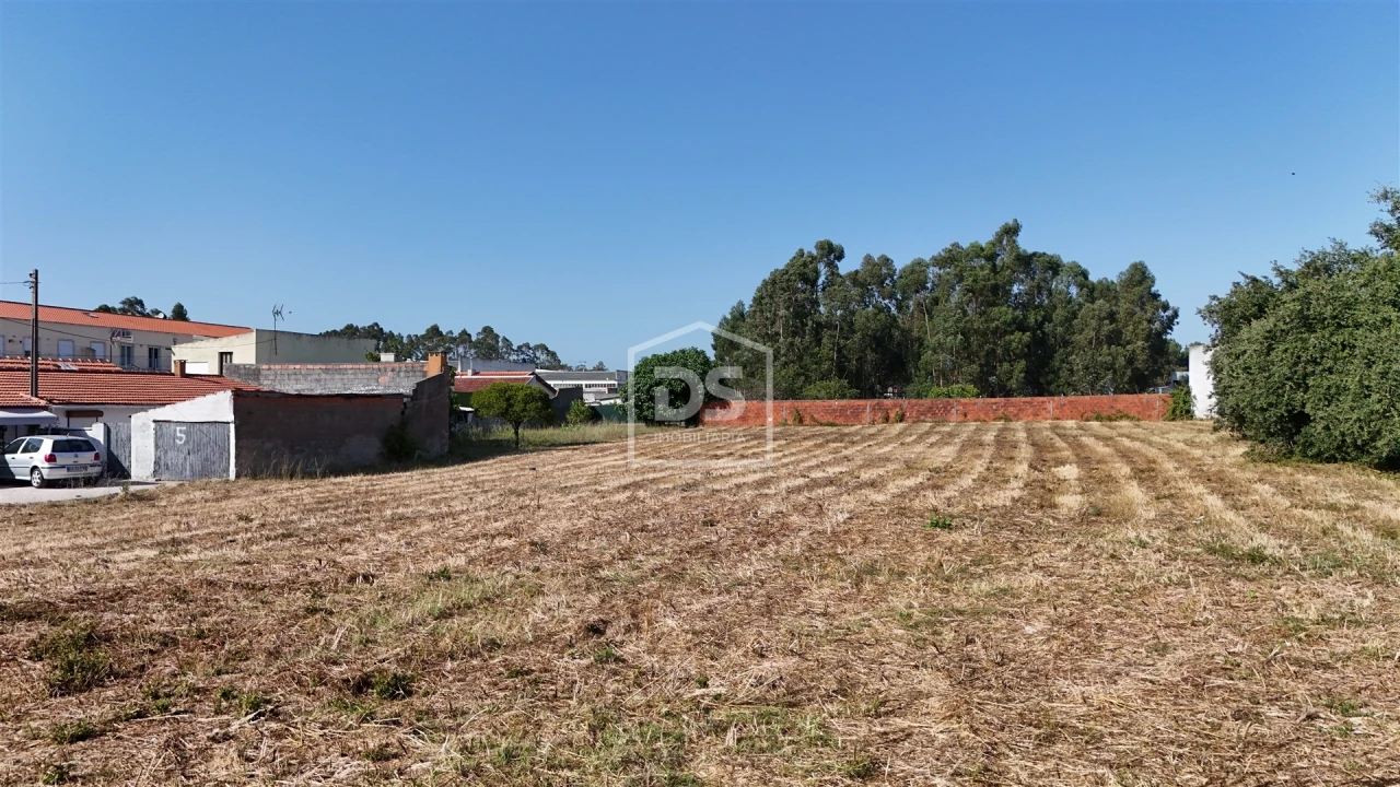 Terreno Agricola ou Rústico para Venda em Marinha Grande Foto 10