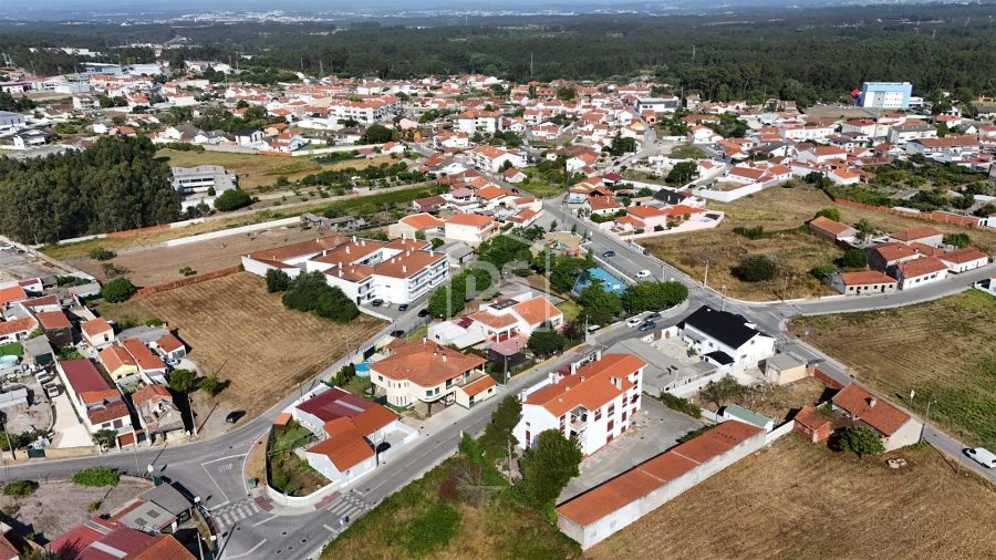 Terreno Agricola ou Rústico para Venda em Marinha Grande Foto 5