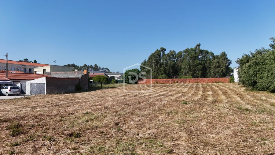 Terreno Agricola ou Rústico para Venda em Marinha Grande Foto 10