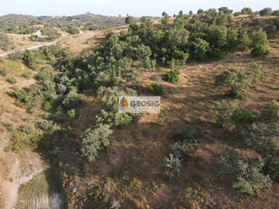 Moradia T4 para Venda em São Barnabe Foto 56