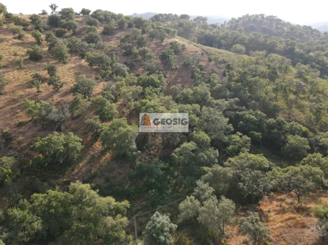 Moradia T4 para Venda em São Barnabe Foto 49