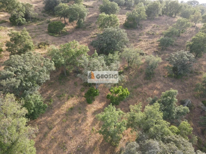 Moradia T4 para Venda em São Barnabe Foto 58