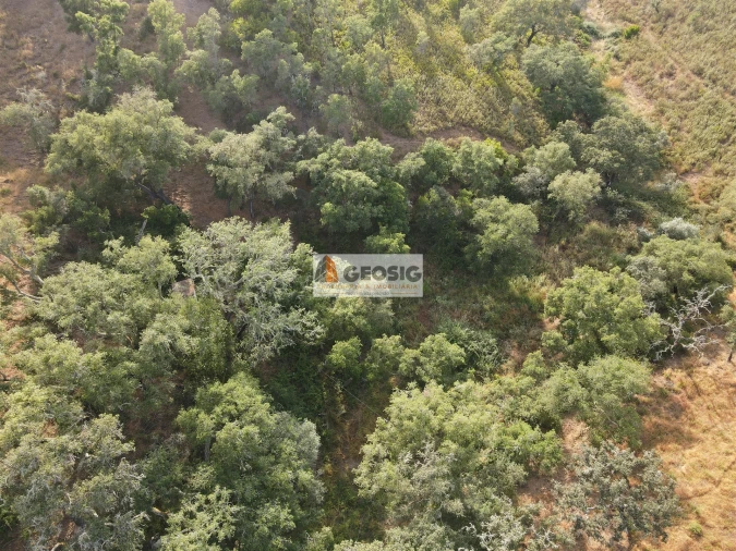 Moradia T4 para Venda em São Barnabe Foto 52