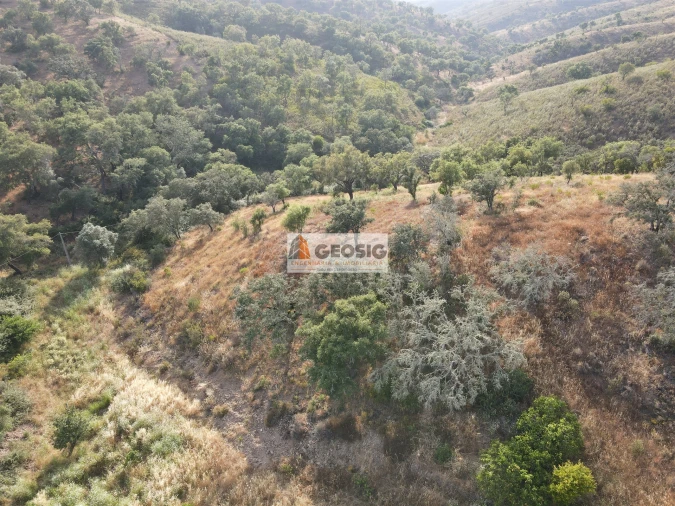 Moradia T4 para Venda em São Barnabe Foto 48