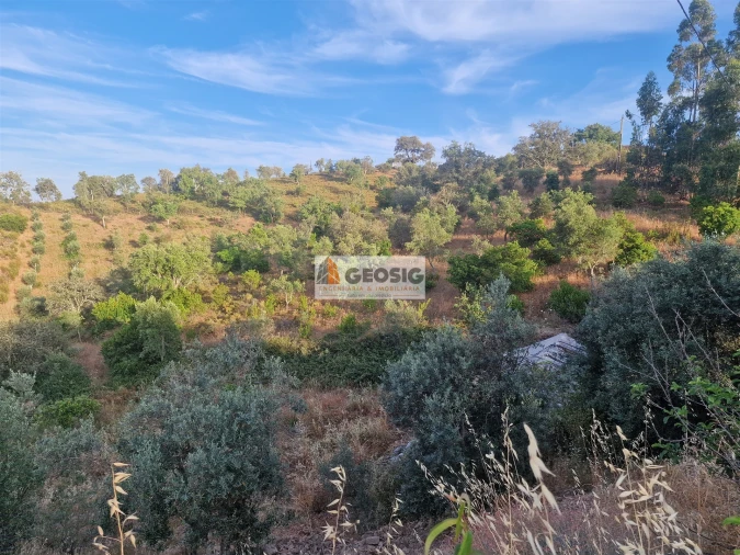 Moradia T4 para Venda em São Barnabe Foto 47