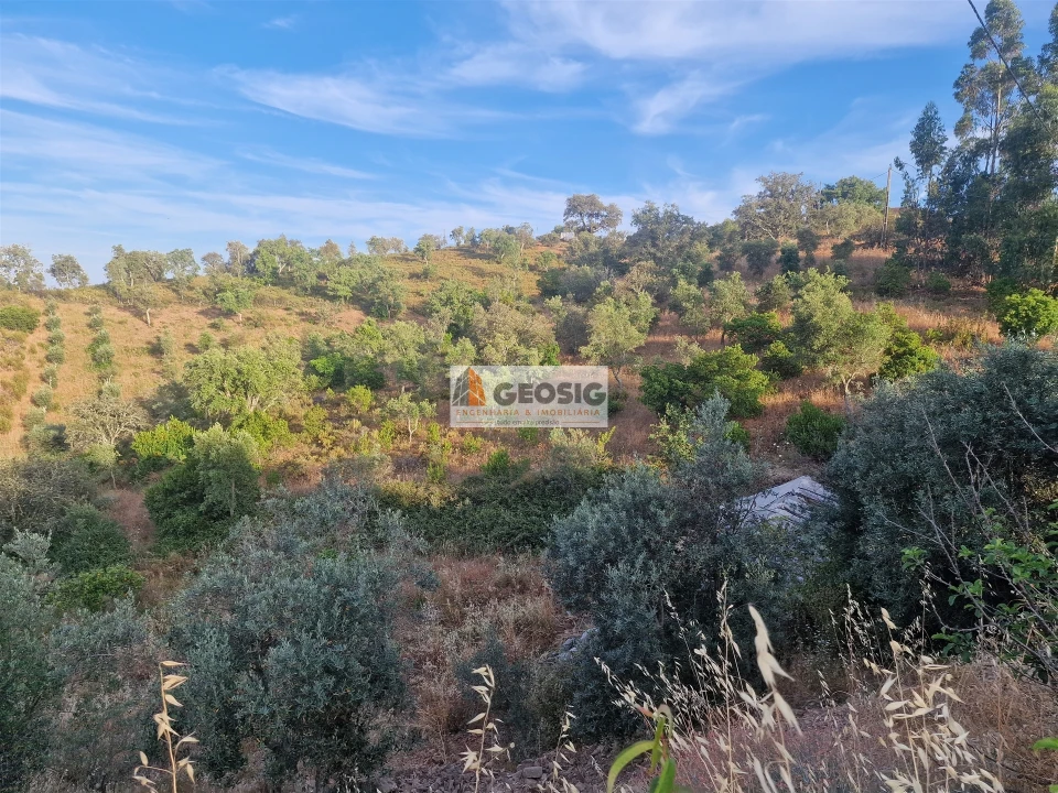 Moradia T4 para Venda em São Barnabe Foto 47