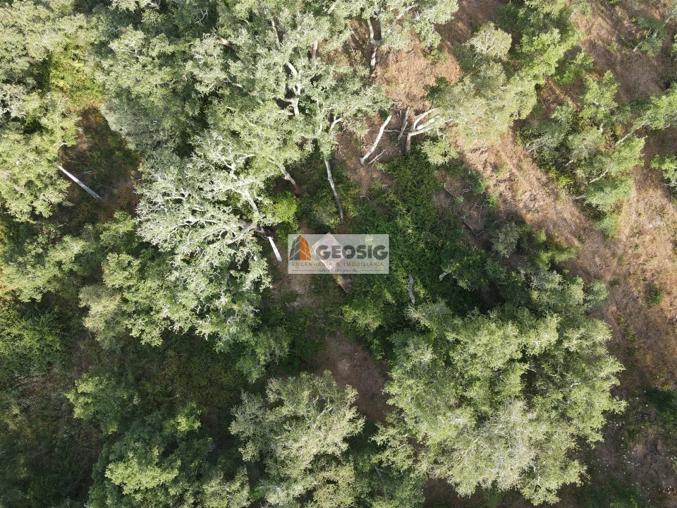 Moradia T4 para Venda em São Barnabe Foto 53