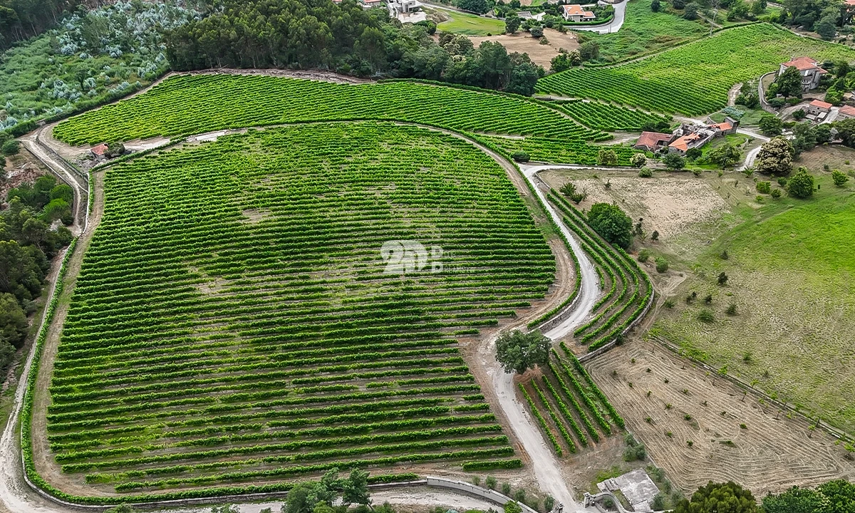 Quinta T10 para Venda em Santo Tirso, Couto (Santa Cristina e São Miguel) e Burgães Foto 2
