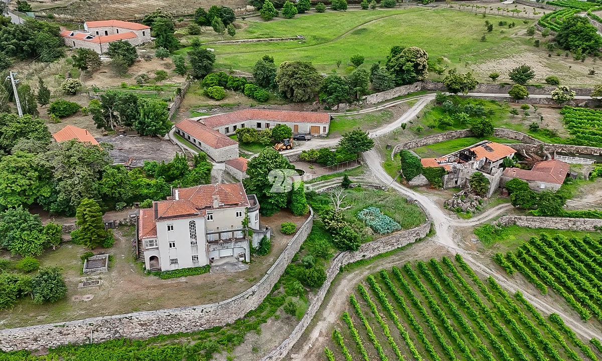 Quinta T10 para Venda em Santo Tirso, Couto (Santa Cristina e São Miguel) e Burgães Foto 11
