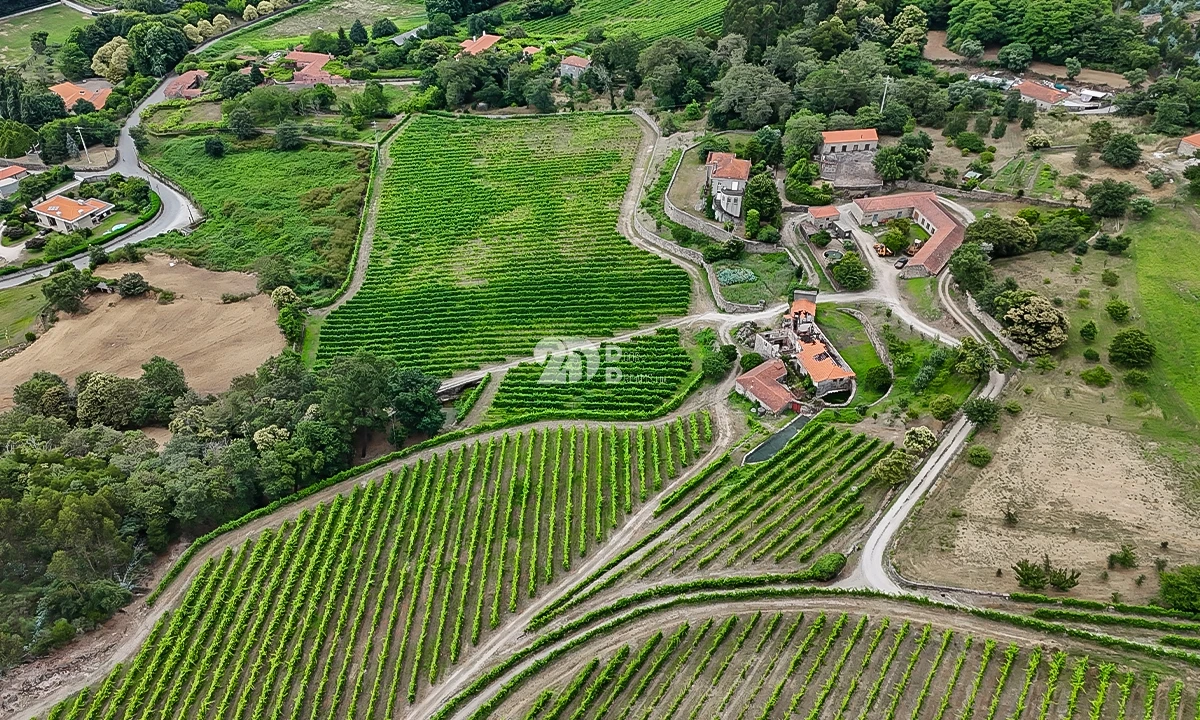 Quinta T10 para Venda em Santo Tirso, Couto (Santa Cristina e São Miguel) e Burgães Foto 5