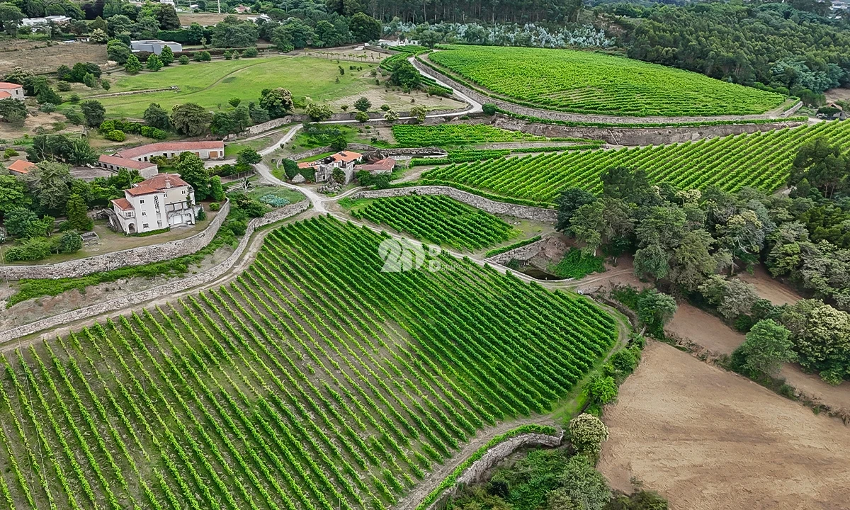 Quinta T10 para Venda em Santo Tirso, Couto (Santa Cristina e São Miguel) e Burgães Foto 8