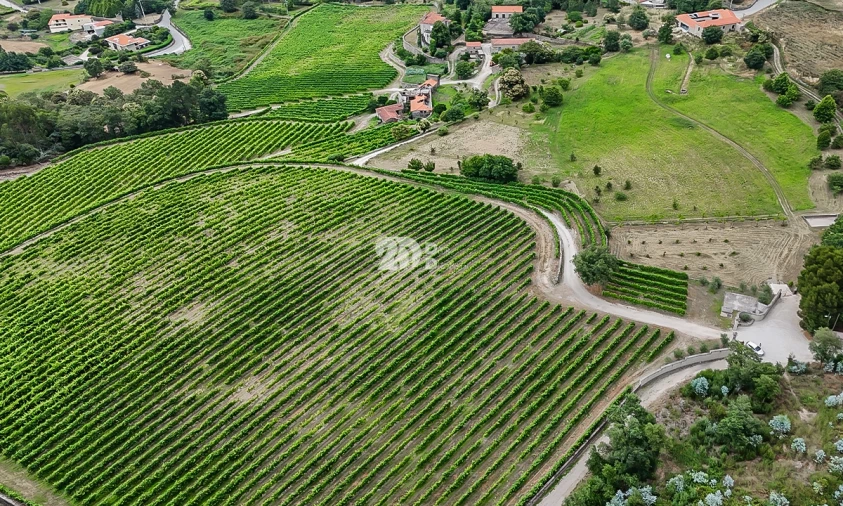 Quinta T10 para Venda em Santo Tirso, Couto (Santa Cristina e São Miguel) e Burgães Foto 3
