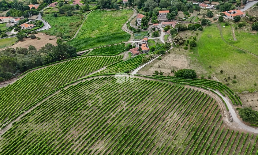 Quinta T10 para Venda em Santo Tirso, Couto (Santa Cristina e São Miguel) e Burgães Foto 4