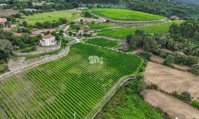 Quinta T10 para Venda em Santo Tirso, Couto (Santa Cristina e São Miguel) e Burgães Foto 10