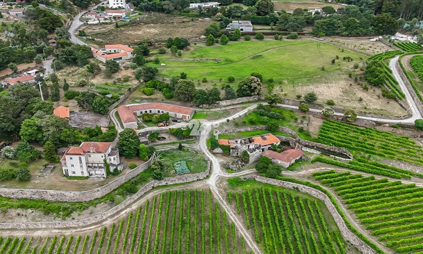 Quinta T10 para Venda em Santo Tirso, Couto (Santa Cristina e São Miguel) e Burgães Foto 7