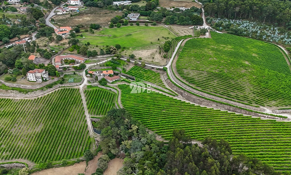 Quinta T10 para Venda em Santo Tirso, Couto (Santa Cristina e São Miguel) e Burgães Foto 6