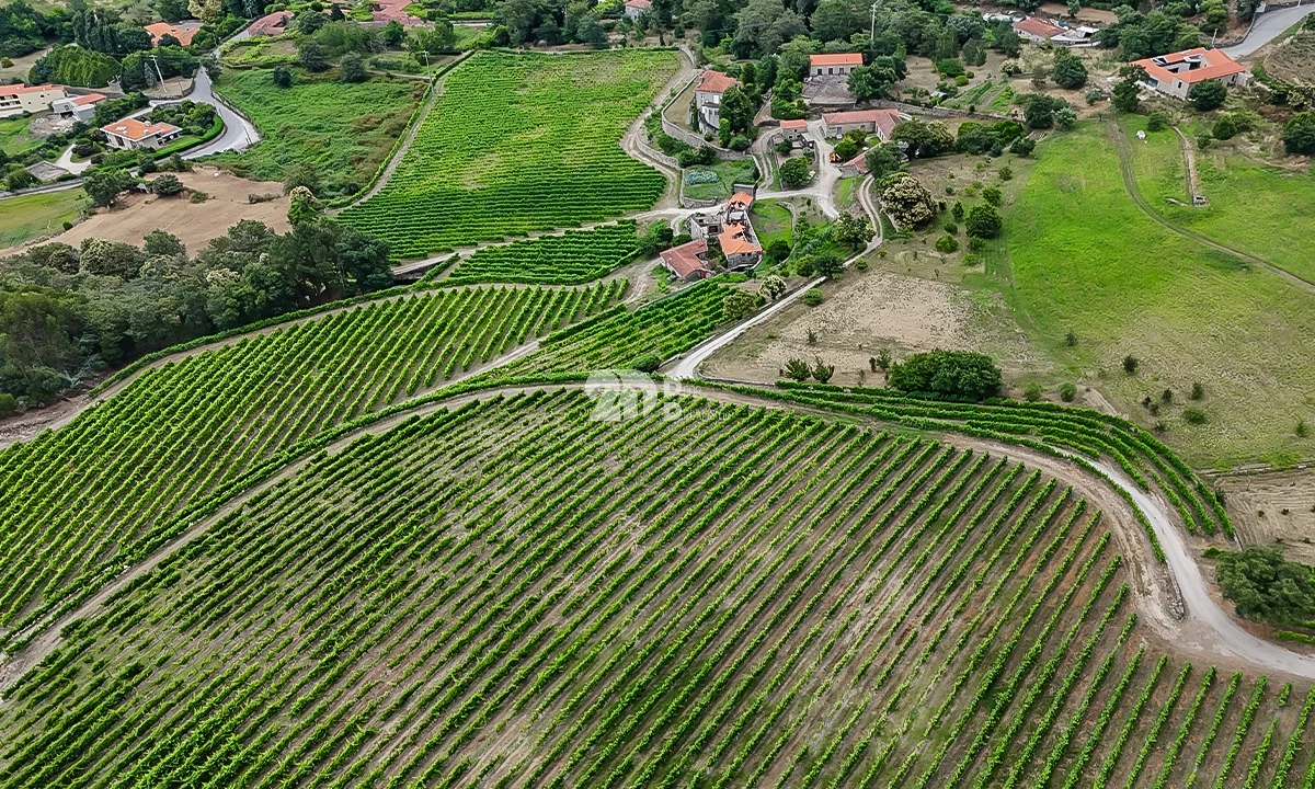Quinta T10 para Venda em Santo Tirso, Couto (Santa Cristina e São Miguel) e Burgães Foto 4
