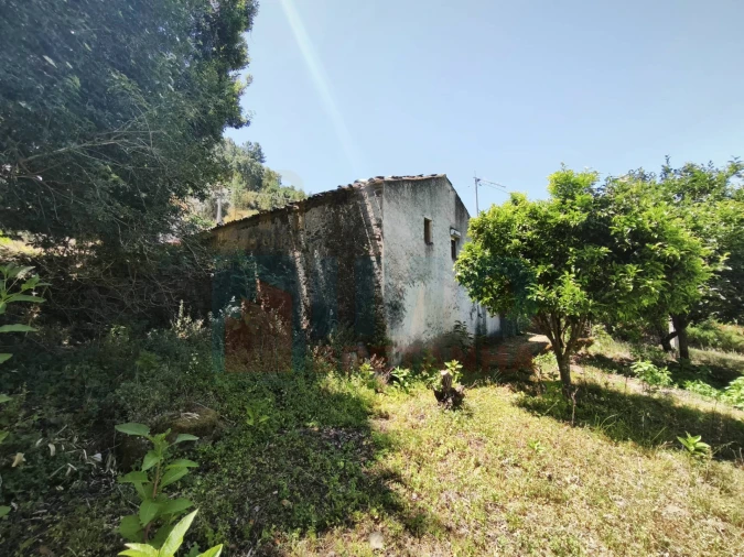 Moradia T3 para Venda em Lousã e Vilarinho Foto 7