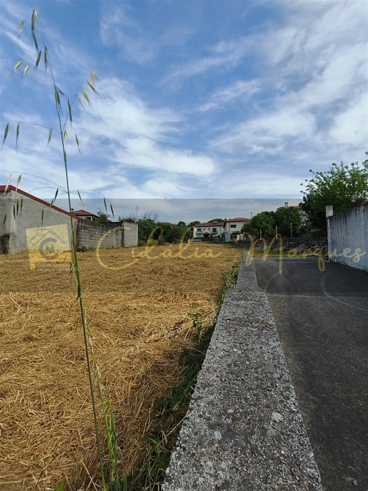 Terreno para Venda em Abraveses Foto 3