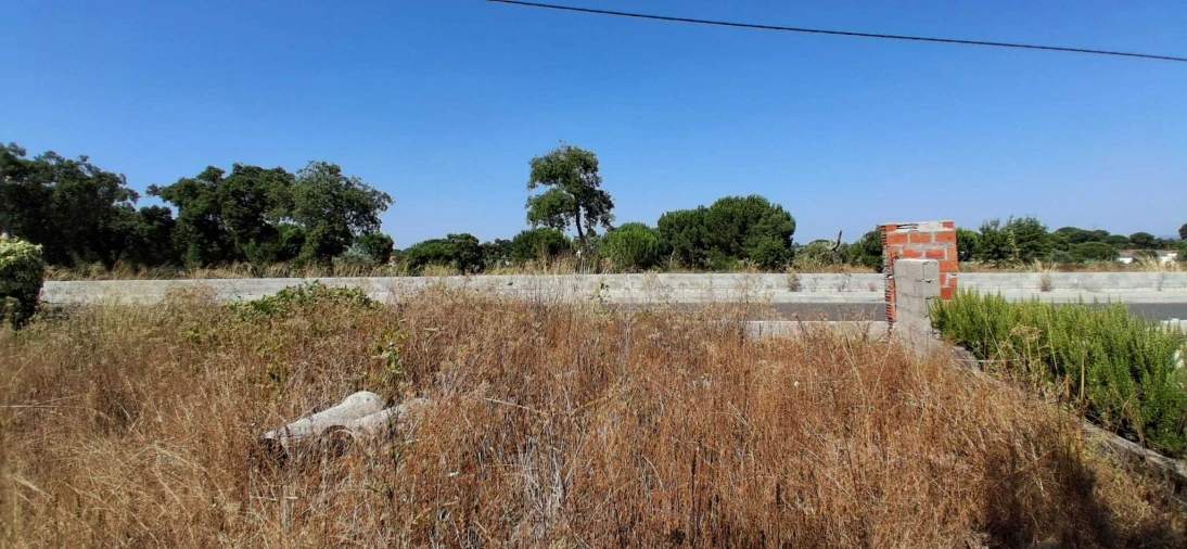 Terreno para Venda em Coruche, Fajarda e Erra Foto 5