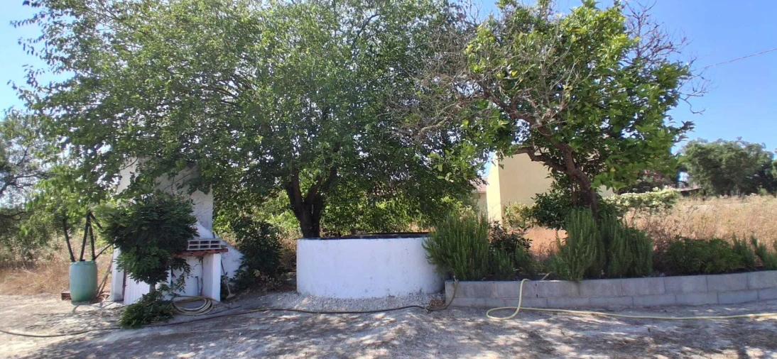 Terreno para Venda em Coruche, Fajarda e Erra Foto 1