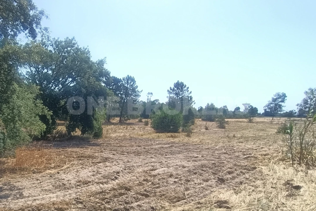 Terreno para Venda em Santo Estêvão Foto 13