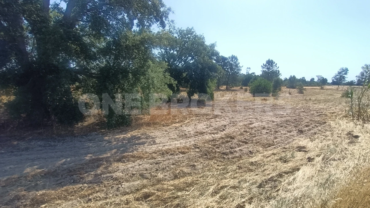 Terreno para Venda em Santo Estêvão Foto 20