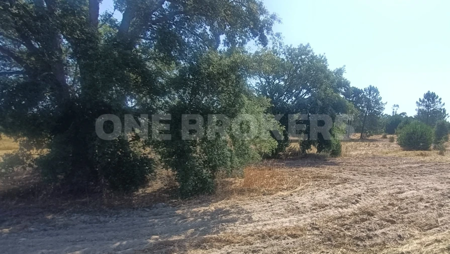 Terreno para Venda em Santo Estêvão Foto 14