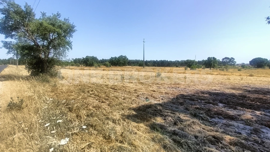 Terreno para Venda em Santo Estêvão Foto 18