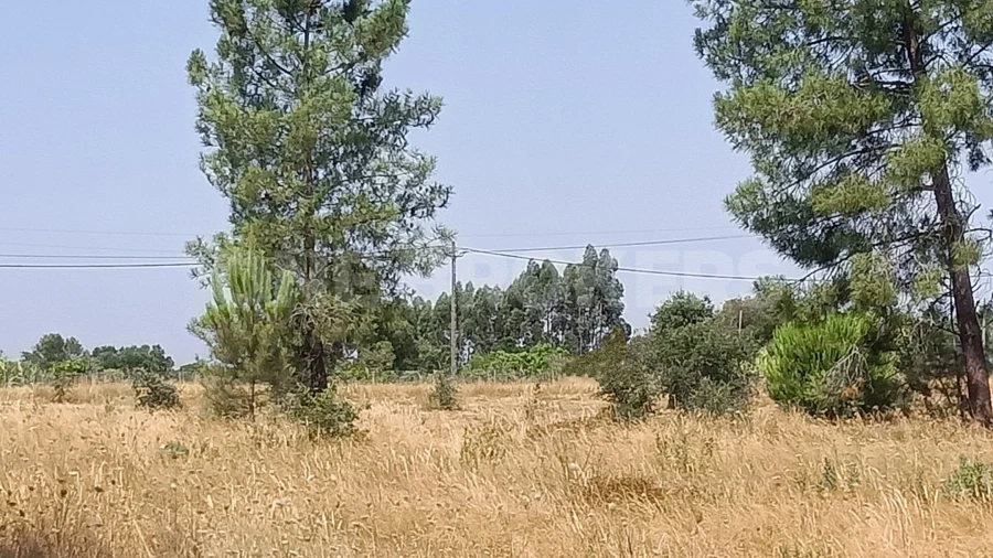 Terreno para Venda em Santo Estêvão Foto 5